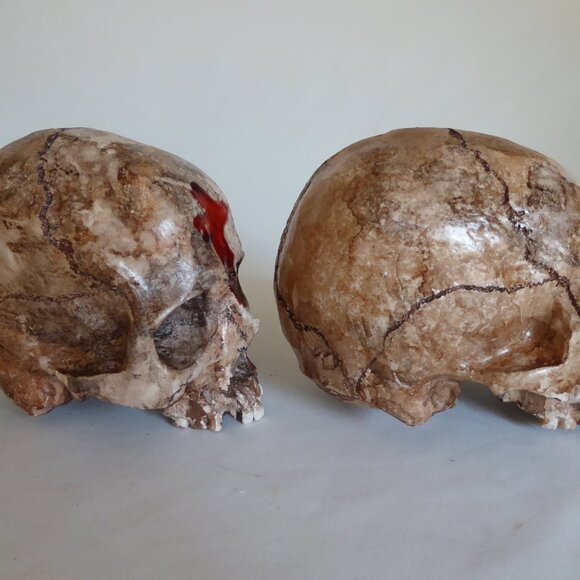 NEW ARTISAN HANDCRAFTED REALISTIC LIFE SIZE HUMAN SKULLS HALLOWEEN PROP ODDITY - Picture 5 of 16